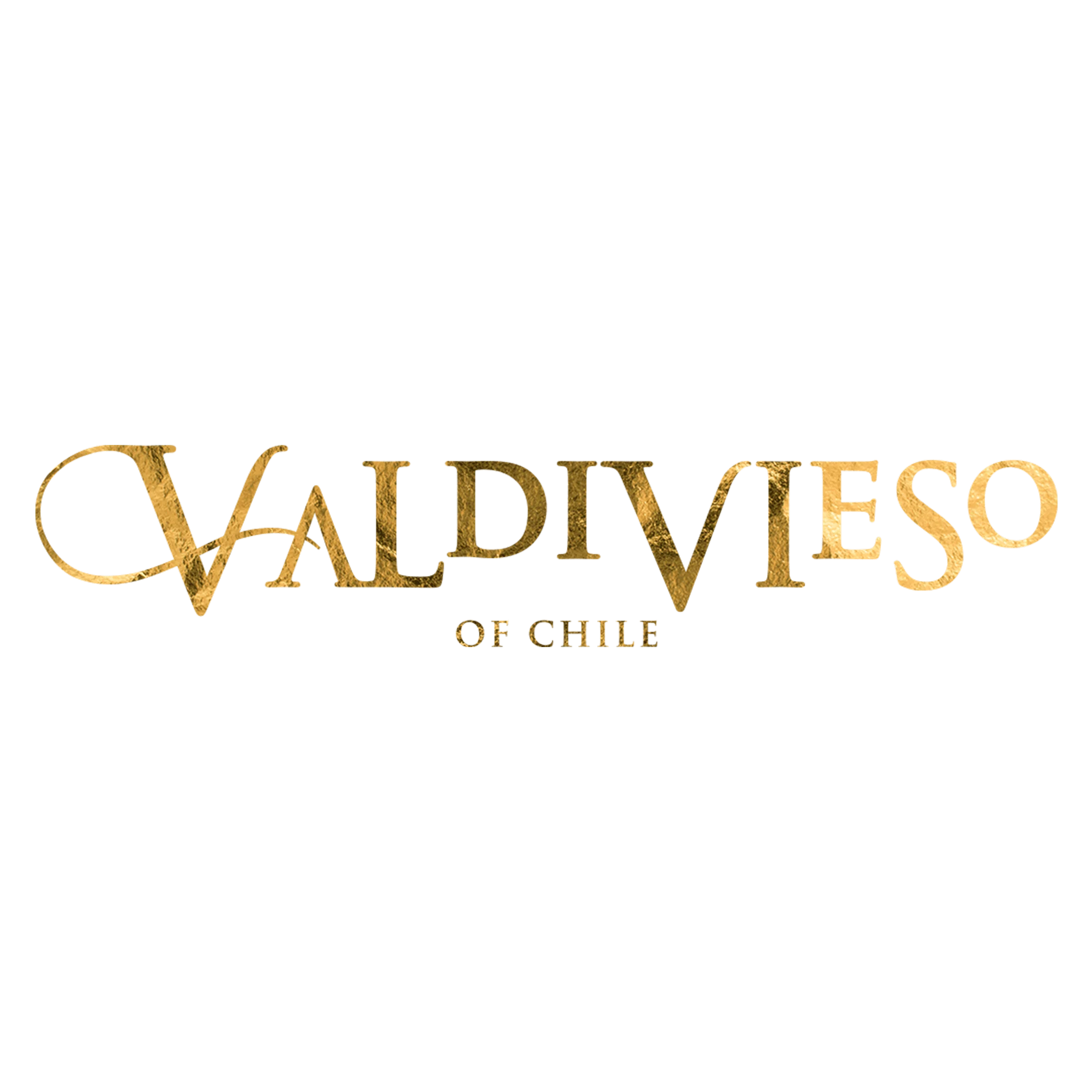 Villa Valdivieso